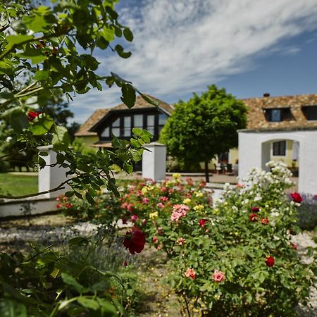 Maison d'hôtes Vidéki Ház à Tagyon Extérieur photo