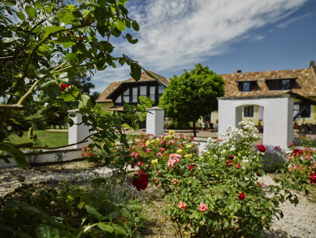Maison d'hôtes Vidéki Ház à Tagyon Extérieur photo